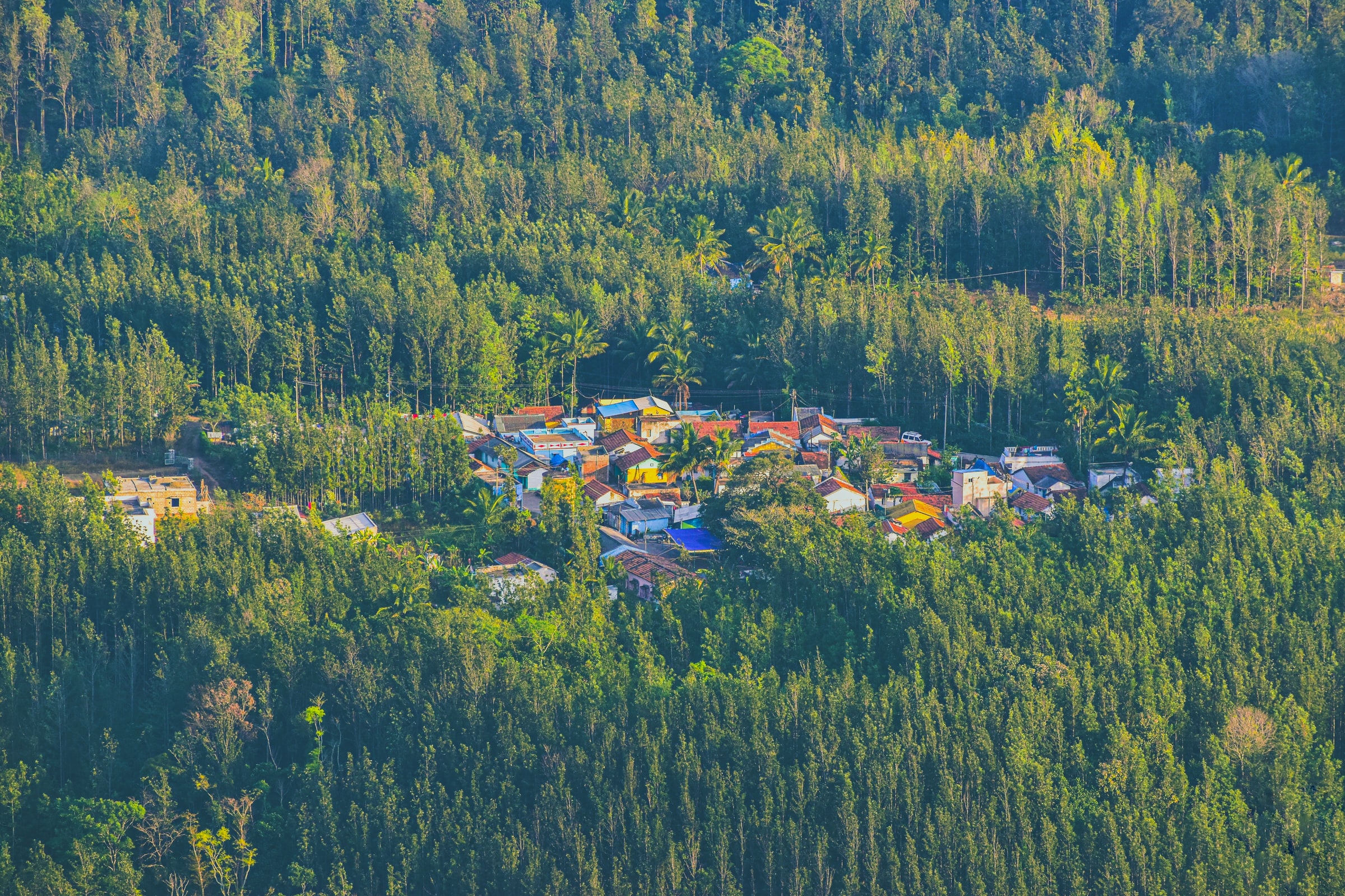 navi-photography-vvSeO3GE3bQ-unsplash