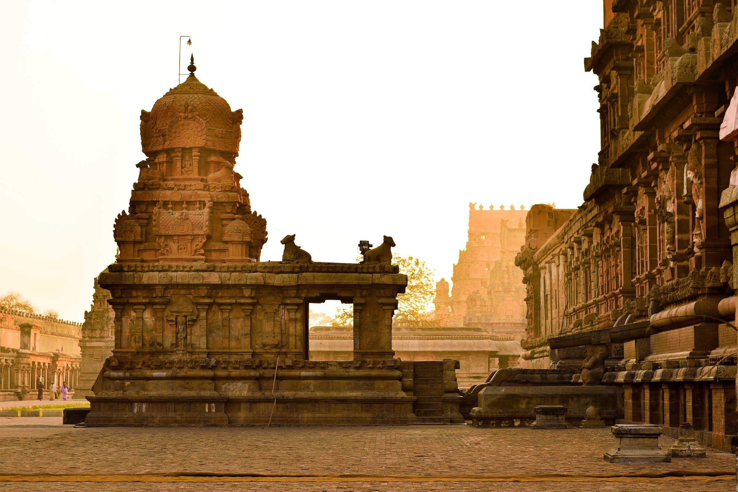 ramakrishnan-nataraj-SzMR1Vcf5aw-unsplash